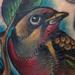 Tattoos - Colored traditional house finch bird tattoo, Gary Dunn Art junkies Tattoo - 75519